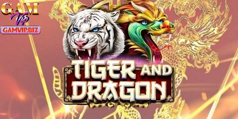 Bạn có thể tham gia Rồng Hổ để thu tiền lời lớn