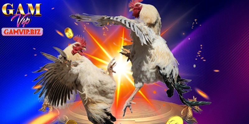 Cổng game trực tiếp các trận đấu chiến kê đỉnh cao