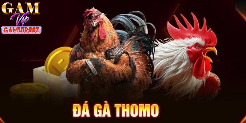 Đá gà Thomo chinh phục đông đảo người chơi tham gia