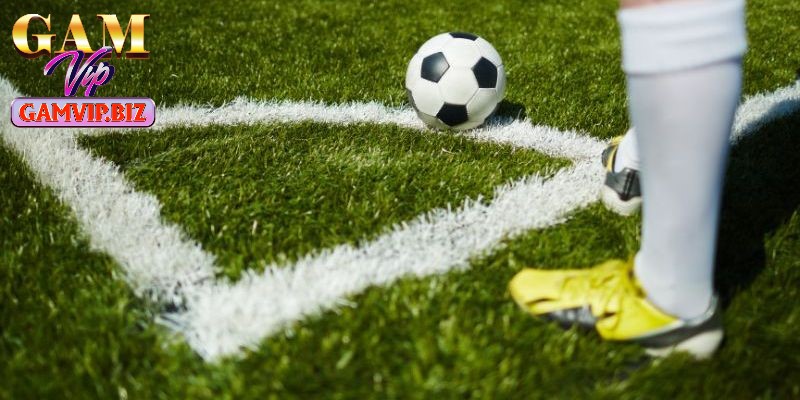 Khi tham gia bắt kèo cần chú ý đến nhiều yếu tố