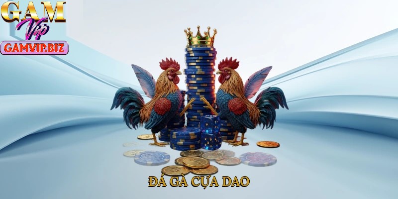 Tham khảo các thuật ngữ khi tham gia cá cược đá gà